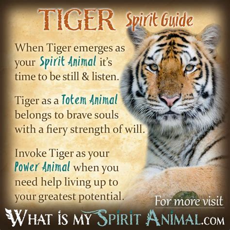 Spirit Totem And Power Animals Spirit Animal Meanings And Symbolism