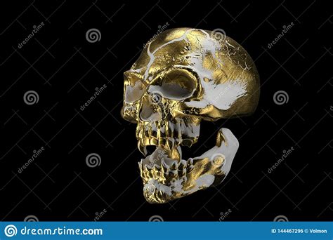 Golden White Skull Isolated On Black Background. The Demonic Skull Of A ...