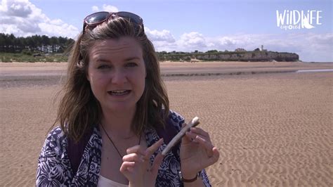 Top Ten Beach Combing Finds In The Uk Youtube