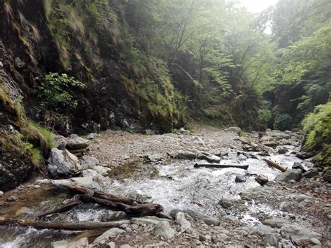 Cade brusc spre nord către depresiunea bârsei și spre sud, până la contactul cu subcarpații de curbură. Cascada-Scorusu-sau-a-lui-Ciuca-Malaia-Valcii-Valcea ...