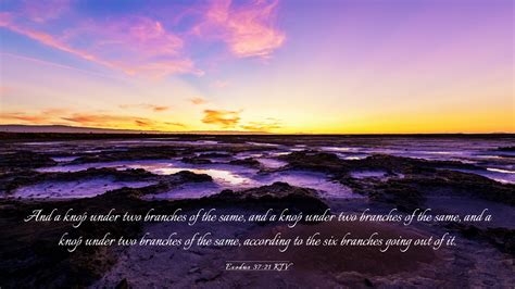 Exodus 3721 Kjv Desktop Wallpaper And A Knop Under Two Branches Of