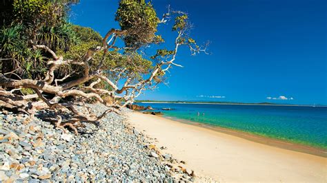 bezoek noosa heads het beste van reizen naar noosa heads sunshine coast in 2023 expedia toerisme