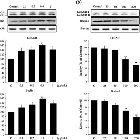 Thymosin Beta 4 Induces The Production Of Autophagy Markers A Ht22