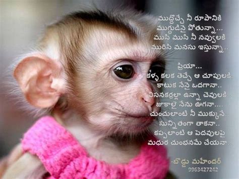 A Funny Poem For A Girl Monkey Written By Boddu Mahender My Own