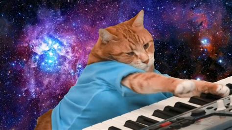Gato Tocando Teclado No Espaçomp4 Youtube