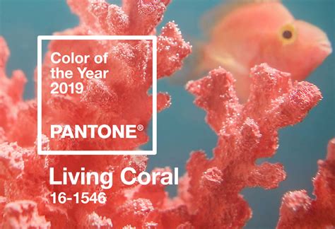 2019 Pantone Color Of The Year Living Coral Bright Ideas Event Agency