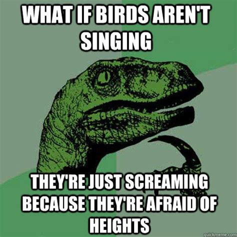 What If Birds Arent Singing Theyre Just Screaming Because Theyre