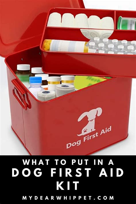 How To Make A Diy Dog First Aid Kit Diy Dog Stuff Diy First Aid Kit