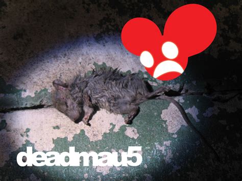Deadmau5 Meet Dead Mouse By Grandmastervgf On Deviantart