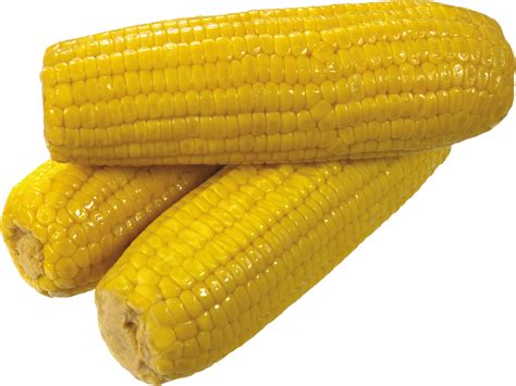 Yellow Corn Clipart 20 Free Cliparts Download Images On Clipground 2024