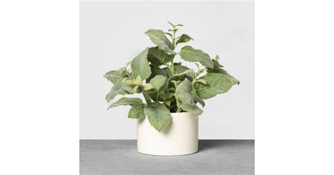 Faux Mint Potted Plant Targets New Hearth And Hand Spring 2019