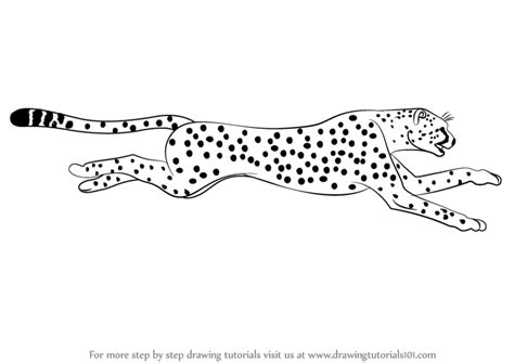 Learn how to draw a cheetah with the help of our drawing lessons! Learn How to Draw a Cheetah Running (Big Cats) Step by Step : Drawing Tutorials