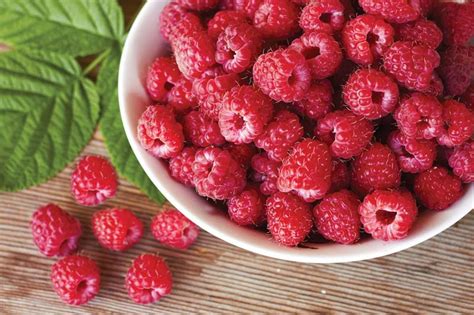 Rubus Idaeus Heritage Everbearing Raspberry