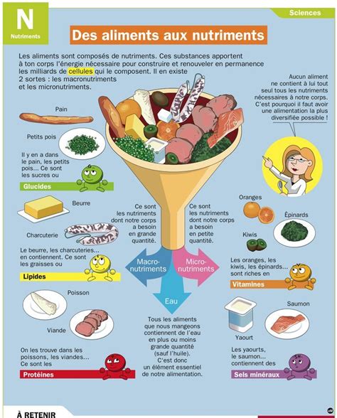 Educational Infographic Des Aliments Aux Nutriments Infographicnow