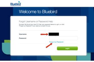 In this post, we will walk you through the step by step process to activate walmart moneycard and begin to access all the great features and benefits. Bluebird Card Login Plus Activate New Card - Gift Cards and Prepaid Cards