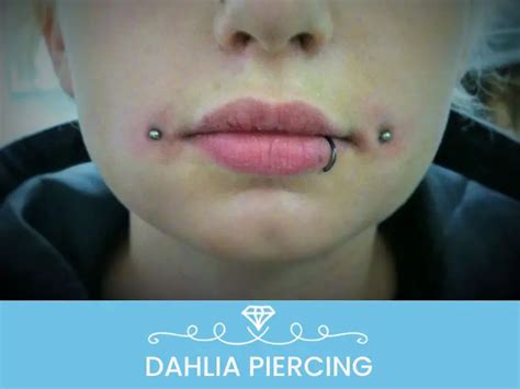 Dahlia Piercing Definition Aftercare Pain Healing Time And Pictures
