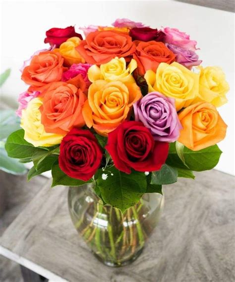 Two Dozen Mixed Color Roses Color Mixing Rose Rose Arrangements