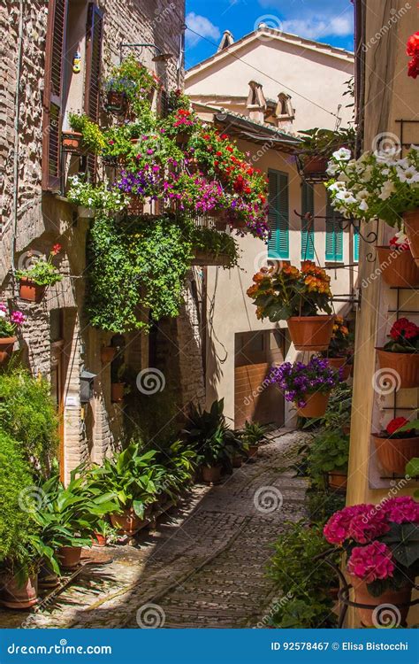Wonderful And Romantic Alley With Flowers Spello Stock Image Image