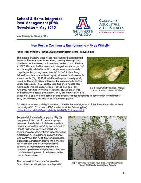 School And Home Integrated Pest Management Ipm May 2015