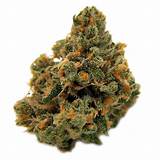 Pictures of Colorado Marijuana For Sale Online