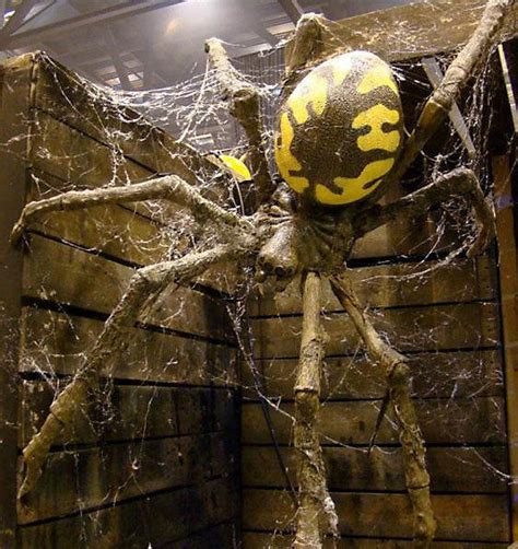 Scary Pictures Of Big Spiders Montor Nublek