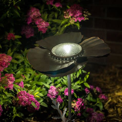 A string of these could mean the difference between an the batteries: Shop Oiled Bronze Poppy Solar Garden Light - Desert Steel ...