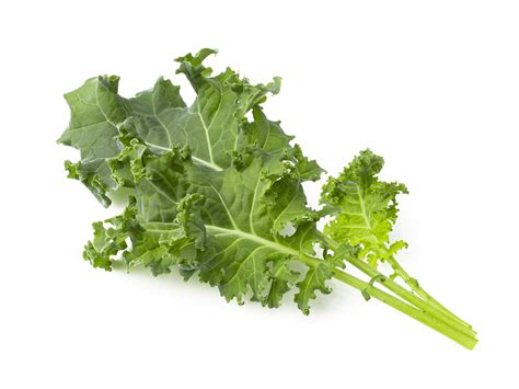Green Kale Plant Pods Click And Grow Click And Grow Asia