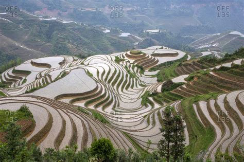 China Guangxi Guilin Longsheng Terraced Rice Fields Stock Photo