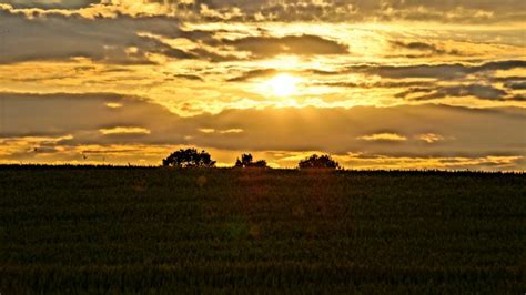 1134191 Sunlight Landscape Sunset Hill Nature Grass Sky Field