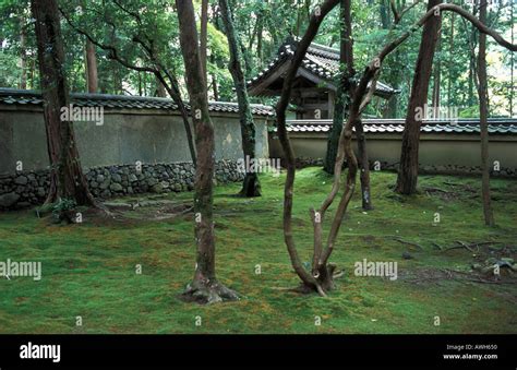Zen Garden Of Saiho Ji Moss Temple Kokedera Kyoto Japan Stock Photo Alamy