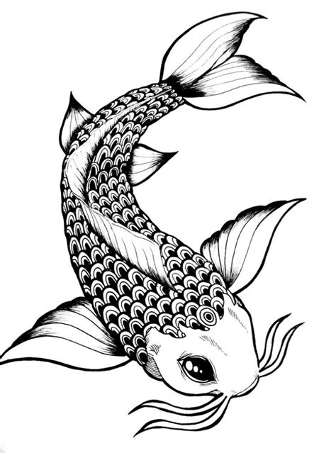 Fish Drawing In Pencil At Getdrawings Free Download