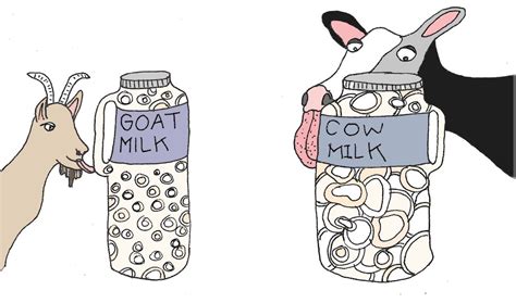 Why Goat Milk Is Superior To Cow Milk Millers Bio Farm