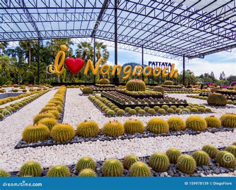 Nong Nooch Tropical Botanical Garden Pattaya Thailand Editorial Stock