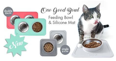 Cats like to eat things a little off the ground. NEW! Ono Good Bowl Cat Feeding Dish with No-Mess Silicone ...