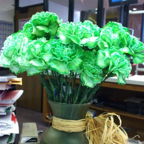 Green Carnations I Don T Care What People Say About Them I Love Them