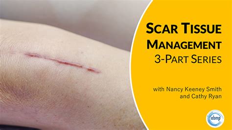 New Scar Tissue Management Course Series From Abmp Associated