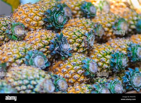 Fresh Organic Phulae Pineapple For Sale At The Fruit Market The Most