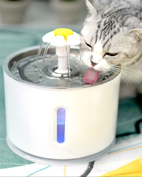 Nicrew Cat Water Fountain Pet Led Drinking Fountain For Small Dogs