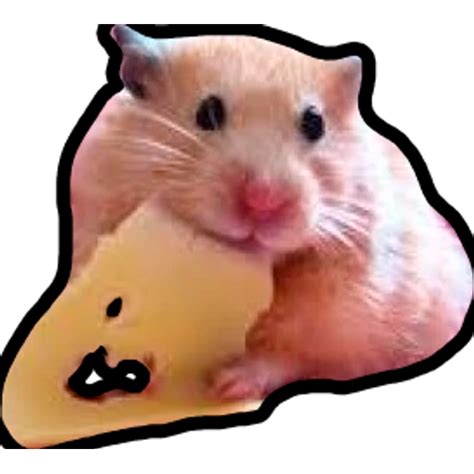 Sticker Maker Hamsters Memes