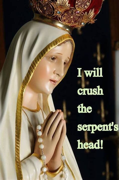 Blessed Virgin Mary I Will Crush The Serpent S Head Blessed Mother Mary Lady Of Fatima