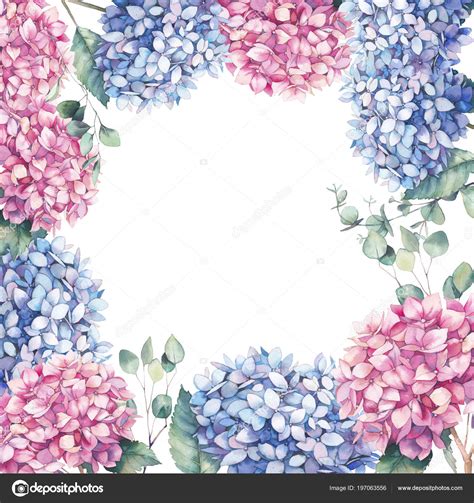 Watercolor Pink Blue Hydrangea Frame Hand Painted Botanical