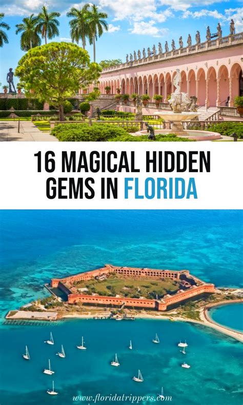 Pin On Best Of Florida Trippers