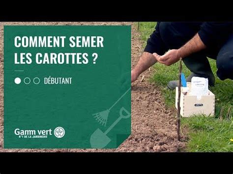 TUTO Comment Semer Les Carottes Jardinerie Gamm Vert Convenience Store Products