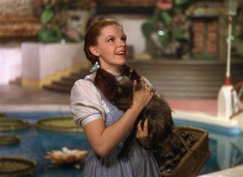 Toto Ive A Feeling Were Not In Kansas Anymore Wizard Of Oz Movie