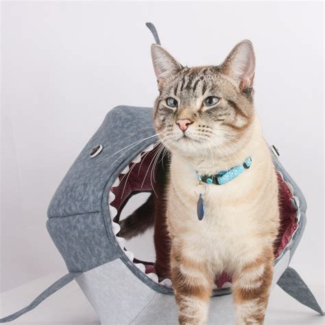 Great White Shark Cat Ball Cat Bed Gatos Exóticos