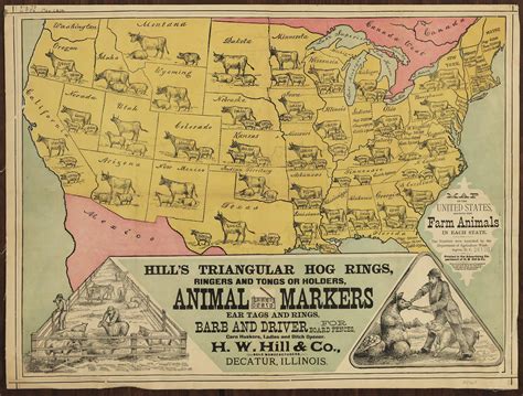 A Whimsical Livestock Map Rare And Antique Maps