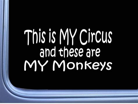 This Is My Circus And My Monkeys 8 Sticker M433 Funny Etsy