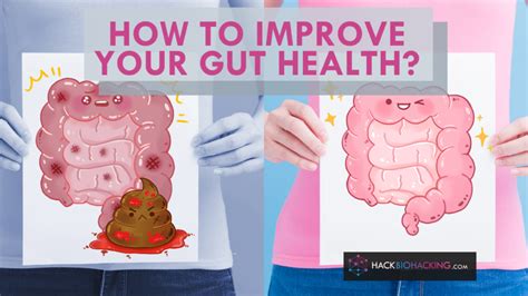 How To Improve Your Gut Health Hack Biohacking