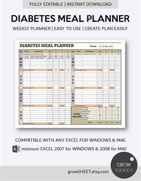 Diabetes Meal Planner Excel Template Fully Editable Weekly Etsy
