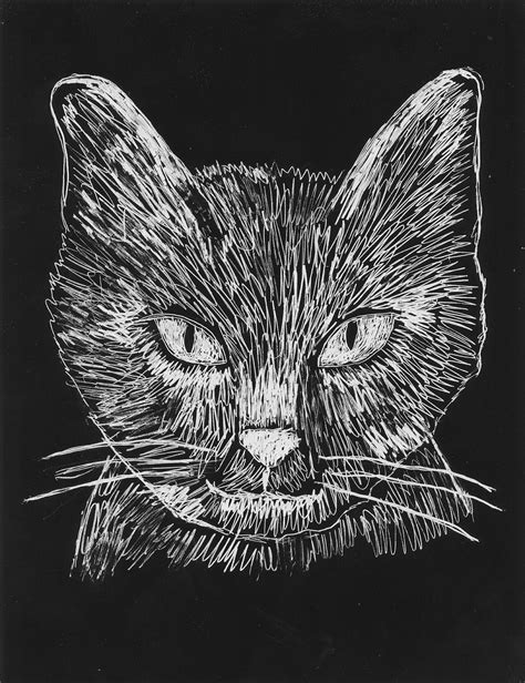 Scratch Art Cat Face Art Projects For Kids